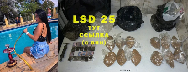 PSILOCYBIN Алексеевка