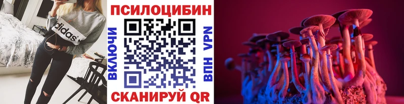 Купить закладки  Козельск  Галлюциногенные грибы Cubensis 