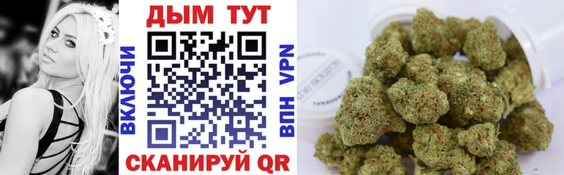 Купить где  Козельск  Каннабис план 